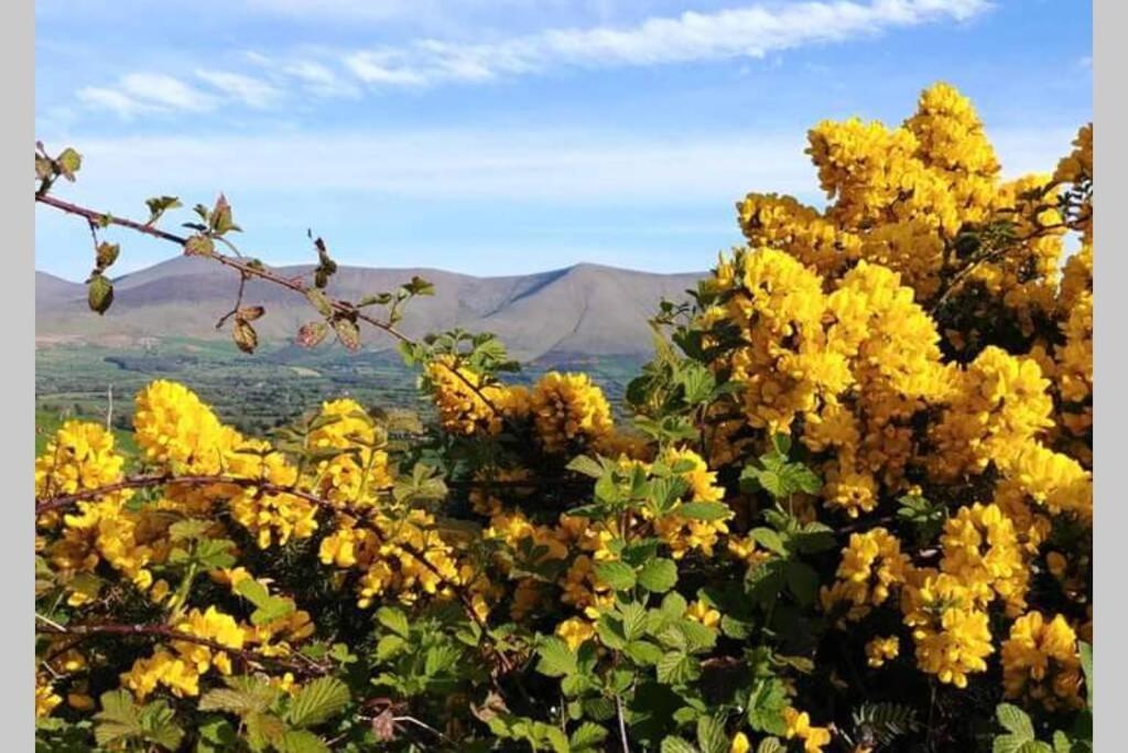 Corderry Farmhouse, Idyllic Cottage Amid 250 Acres Lisvernane Exteriör bild