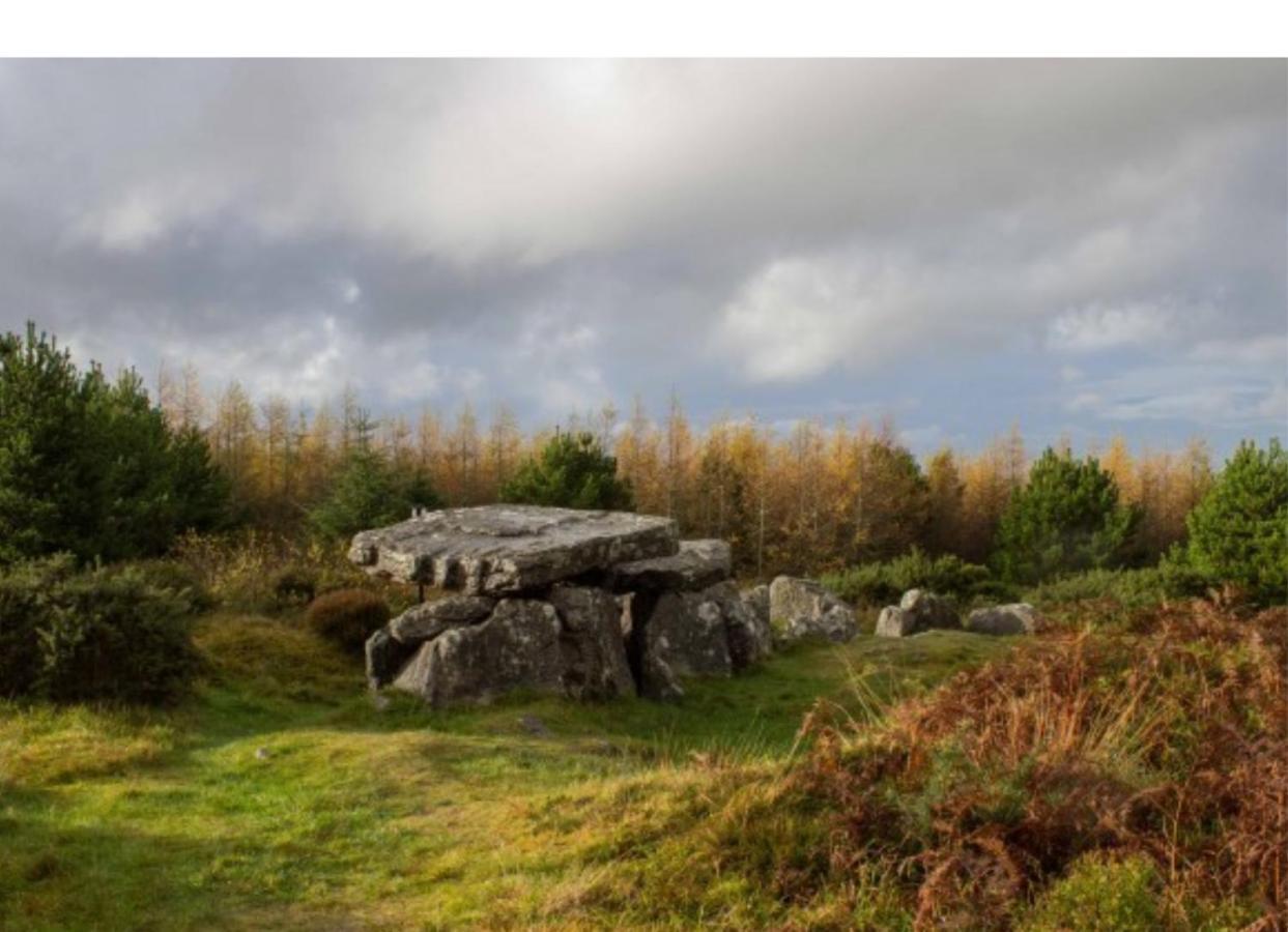 Corderry Farmhouse, Idyllic Cottage Amid 250 Acres Lisvernane Exteriör bild
